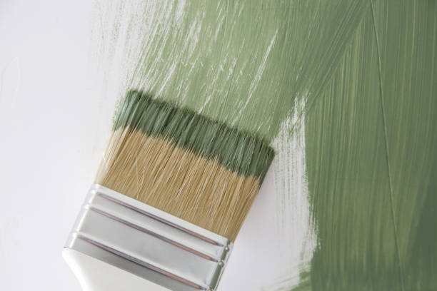 Reliable Ranger, TX Mold Removal Solutions