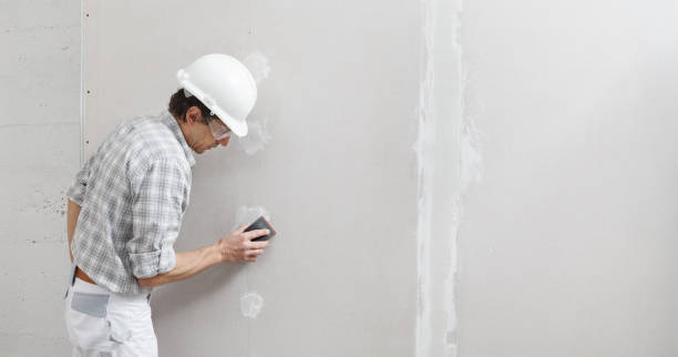 Biohazard Mold Removal in Ranger, TX